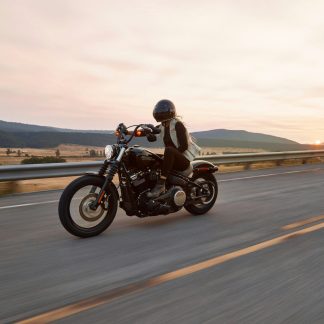 Harley-Davidson Sportster S or £12,000 Cash